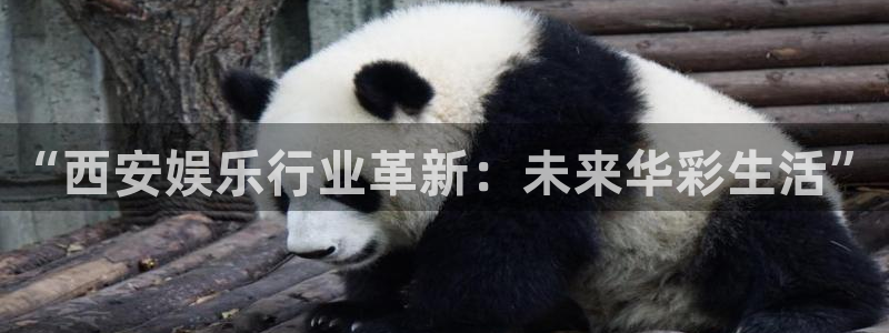 3d彩虹多多：“西安娱乐行业革新：未来华彩生活”