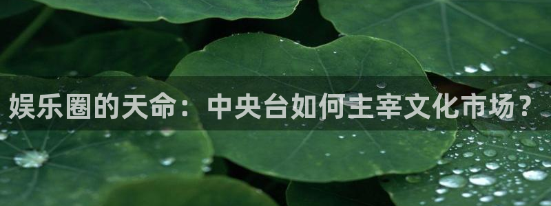 下载彩虹多多软件安装：娱乐圈的天命：中央台如何主宰文化市场？