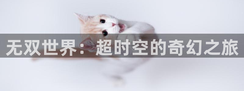 帮我下载彩虹多多