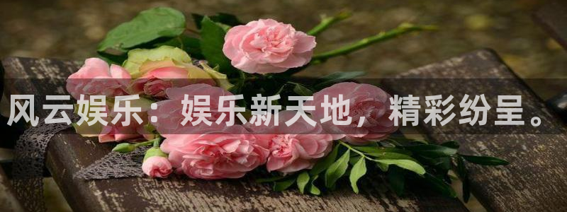 彩虹多多的