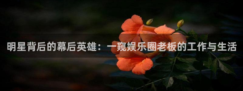 彩虹多多试机号：明星背后的幕后英雄：一窥娱乐圈老板的工作与生活