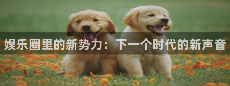 彩虹多多旧版本：娱乐圈里的新势力：下一个时代的新声音