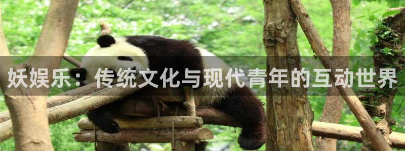 彩虹多多安卓版：妖娱乐：传统文化与现代青年的互动世界