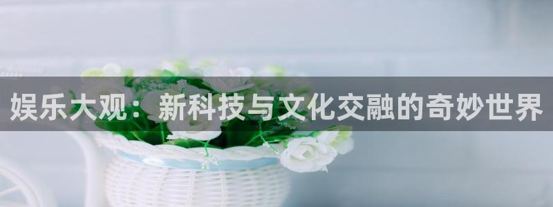彩虹多多旧版本：娱乐大观：新科技与文化交融的奇妙世界