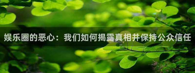 彩虹多多极速：娱乐圈的恶心：我们如何揭露真相并保持公众信任