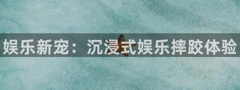 彩虹多多app苹果版本：娱乐新宠：沉浸式娱乐摔跤体验