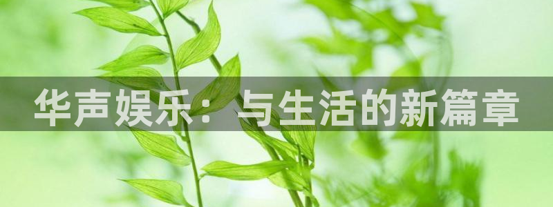 彩虹多多698免费版：华声娱乐：与生活的新篇章