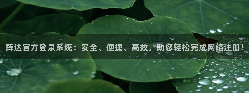 彩虹多多苹果版下载不了：辉达官方登录系统：安全、便捷、高效，助您轻松完成网络注册!