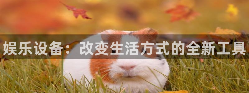 彩虹多多专享版版本：娱乐设备：改变生活方式的全新工具