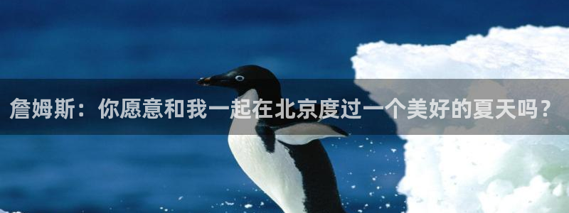2025彩虹多多免费版