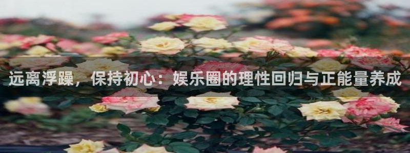 彩虹多多网站：远离浮躁，保持初心：娱乐圈的理性回归与正能量养成