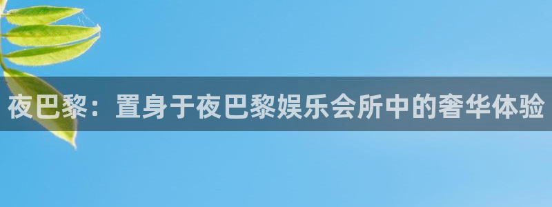 彩虹多多app苹果版本：夜巴黎：置身于夜巴黎娱乐会所中的奢华体验