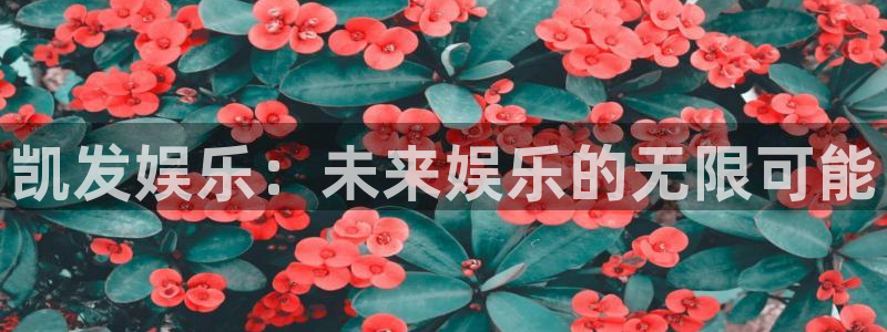 老版彩虹多多：凯发娱乐：未来娱乐的无限可能