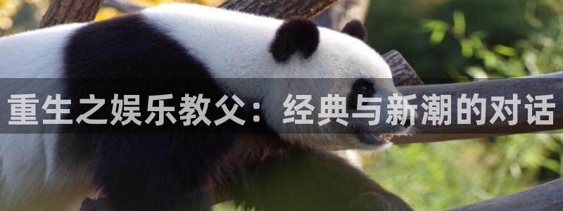 彩虹多多极速：重生之娱乐教父：经典与新潮的对话