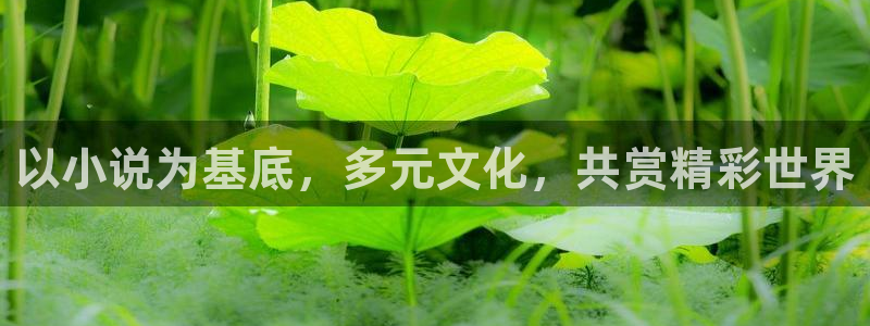 彩虹多多极速：以小说为基底，多元文化，共赏精彩世界