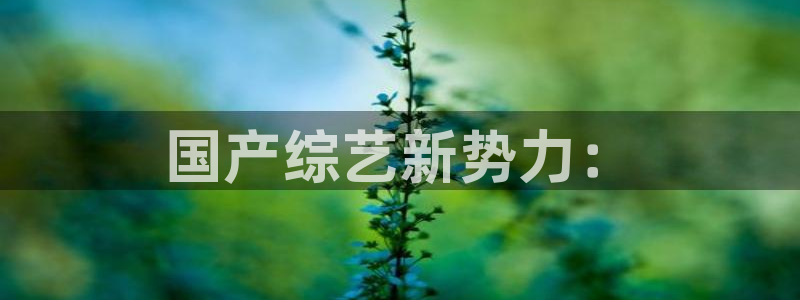彩虹多多ap：国产综艺新势力：