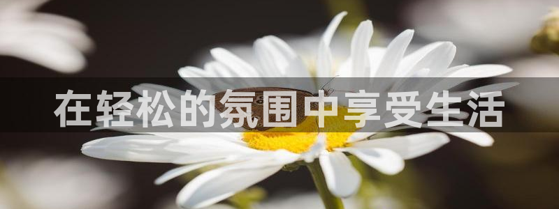 彩虹多多开奖推荐app：在轻松的氛围中享受生活
