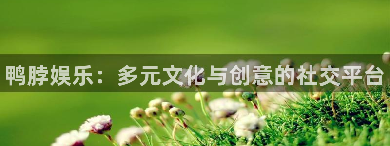 彩虹多多.：鸭脖娱乐：多元文化与创意的社交平台