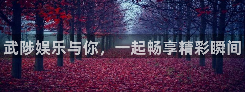 下载彩虹多多3d彩虹多多：武陟娱乐与你，一起畅享精彩瞬间