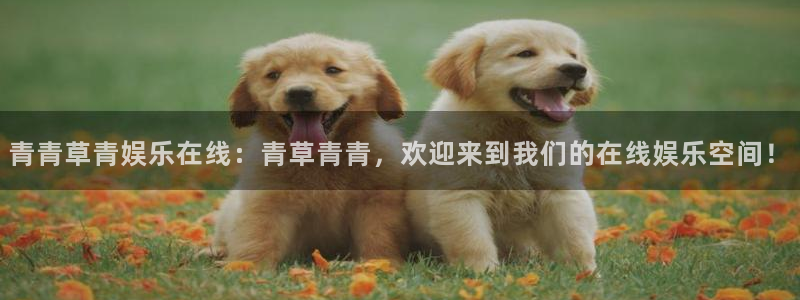 彩虹多多所有版app下载：青青草青娱乐在线：青草青青，欢迎来到我们的在线娱乐空间！