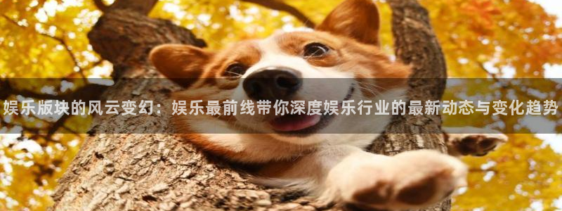 彩虹多多模拟选号：娱乐版块的风云变幻：娱乐最前线带你深度娱乐行业的最新动态与变化趋势