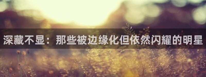 彩虹多多软件下载：深藏不显：那些被边缘化但依然闪耀的明星