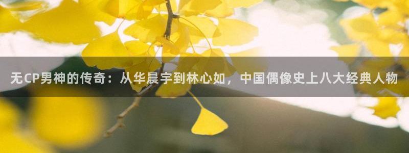 3d开奖结果彩虹多多：无CP男神的传奇：从华晨宇到林心如，中国偶像史上八大经典人物